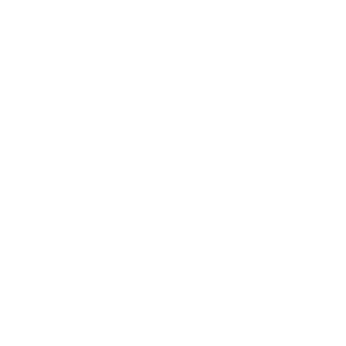 logo blanc de Samia Bessami